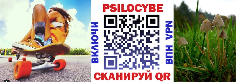 купить   Пестово  Галлюциногенные грибы мухоморы 