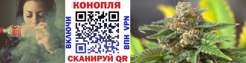 Конопля Bruce Banner  Пестово 